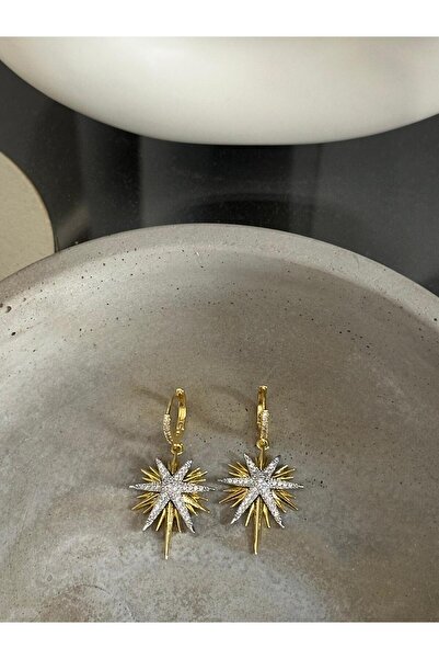 RENDA ACCESSORY Kutup Yıldızı Küpe Özel Seri