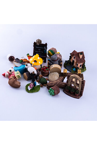 Bimotif Karışık teraryum malzemeleri (5 çeşit)