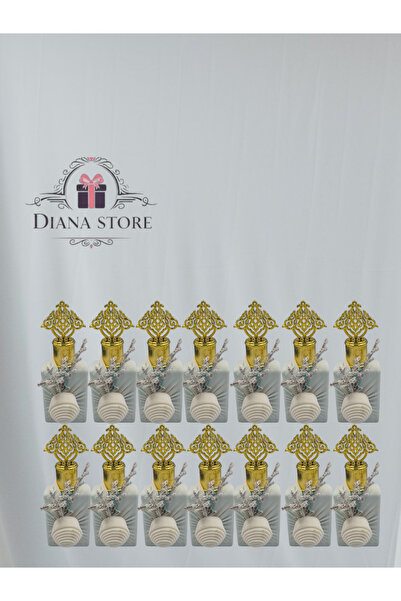 Geneic توزيعات مسك الرمان منسقة 12قطعة