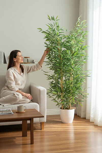 ERHAN FLOWERS yapay bambu ağacı yogun yaprak plastik saksıda 165 cm