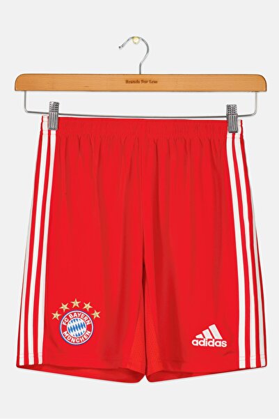 adidas Kids Boy FC Bayern Munchen Training Shorts, Red