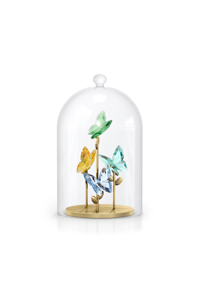 Swarovski 5619219 Biblo Jungle Beats:bell Jar Butterfly