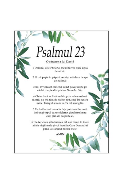 OEM Tablou creștin cu mesaj Psalmul 23, 42cm x 32cm, negru