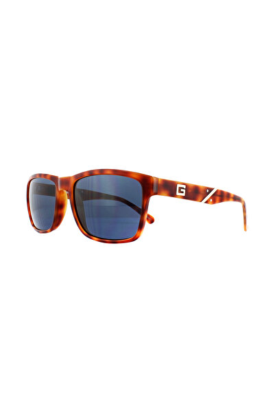 Guess , Guess, Sunglasses, HNY-9, Brown, For Women