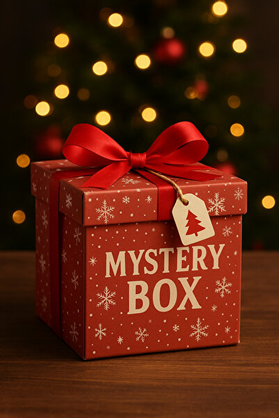 OEM Mystery Box Secret Santa edition 4-6 products