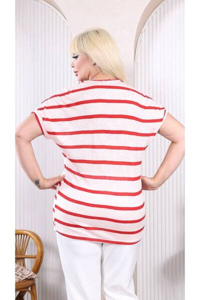 garajmood Striped Shawl Collar Plus Size Blouse