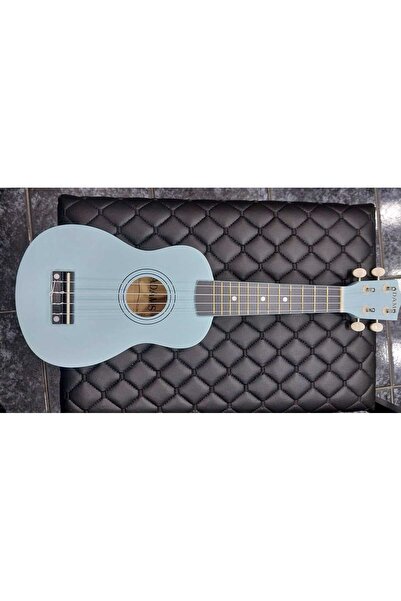 Adams Ukulele (with Case)