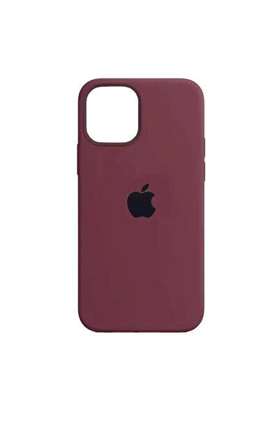 favoritecase İphone 15 Uyumlu Leke Tutmaz, İçi Kadife Premium Lansman Kılıflar