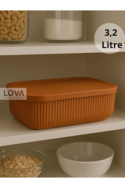 Lova Shell Çizgili Çok Amaçlı Düzenleyici Organizer Kapaklı Saklama Kutu 3,2 ...