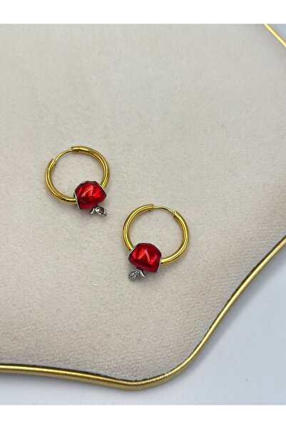MyladyAccessoriess Apple Detailed Medium Size Steel Hoop Earrings