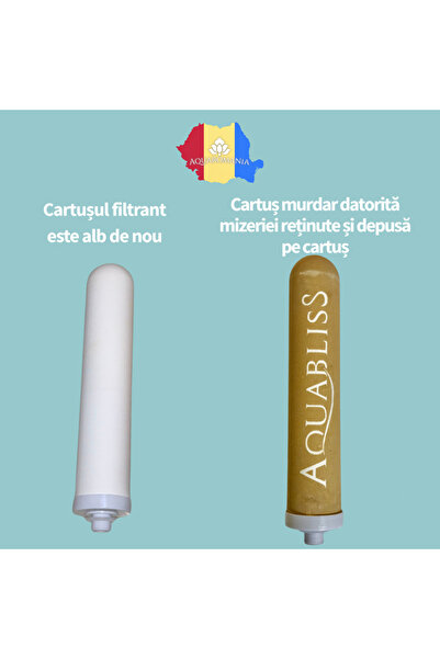 AquaBliss Cartus filtrant AQUABLISS® CC100, pentru filtru AQUABLISS® Angel, 4000 l