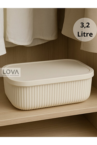 Lova Shell Çizgili Çok Amaçlı Düzenleyici Organizer Kapaklı Saklama Kutu 3,2 ...