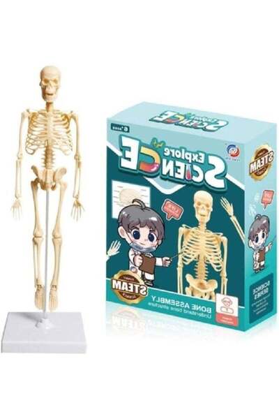TOY GARDEN مجموعة تجميع العظام من Explore Science - لعبة تعليمية STEAM للأطفا...