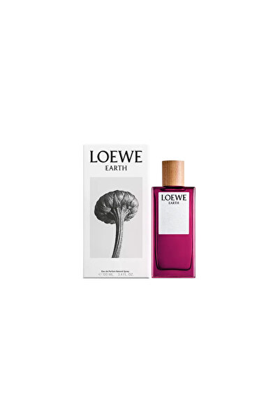 Loewe Pământ Ep 100 Vap
