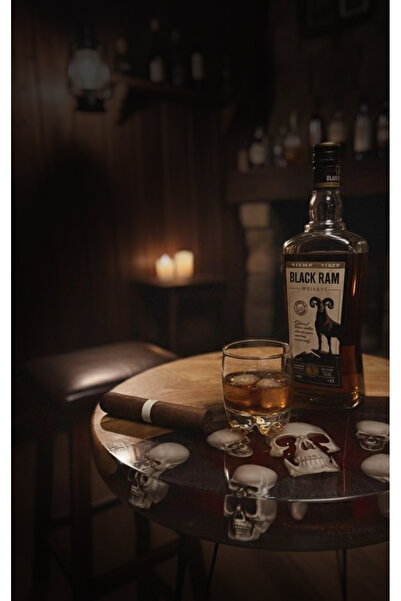 Revive Works Doğal Ceviz Ağacı & Epoksi El Yapımı Kuru Kafalı Oval Gotik Sehpa