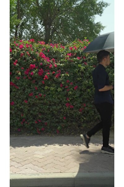 porodo Lifestyle Cool Mist Umbrella with Built-in Fan & Hydrating Mist - Black