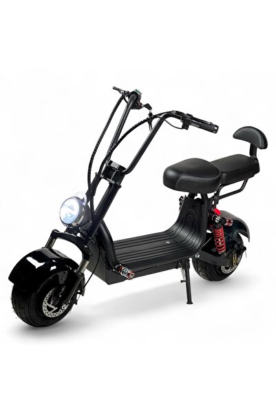 ALBADER Harley Design Electric Scooter 48V, Electric Kick Scooter 1000W Motor, 70 KM/H Max Speed, Wide Wheel