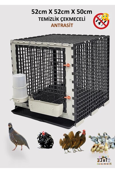 Leganest 52cm X 52cm X 50cm Temizlik Çekmeceli Bantam Tavuk, Bıldırcın, Kekli...