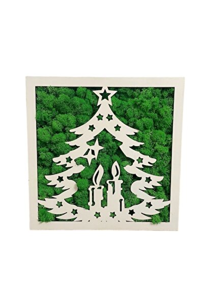 ALVAL Ramă cu licheni stabilizați, verde, 25x25x3 cm, ramă albă