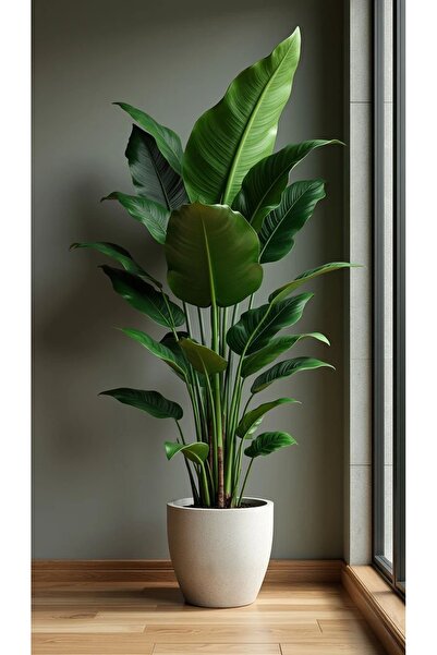 Diana Accessory Yapay Ağaç Starliçe Gerçek Dokunuş 10 Dev Yaprak Yeşil 160-170 Cm