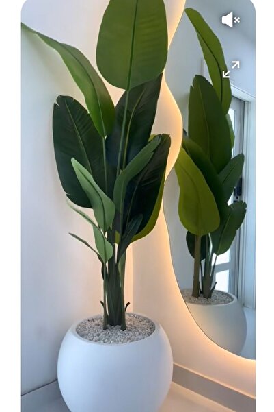 Diana Accessory Yapay Ağaç Starliçe Gerçek Dokunuş 10 Dev Yaprak Yeşil 160-170 Cm