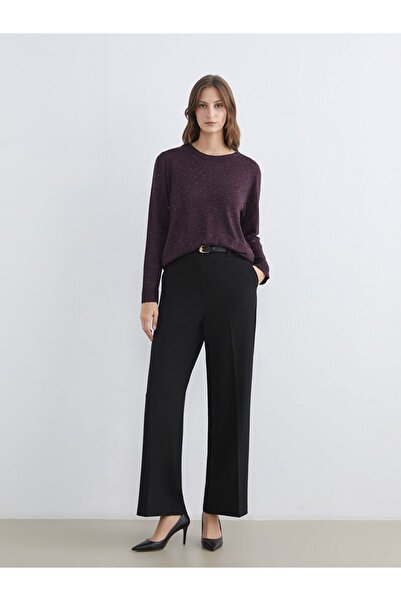 LC Waikiki Lcwaikiki Classic Crew Neck Shiny Look Women's Knitwear Sweater