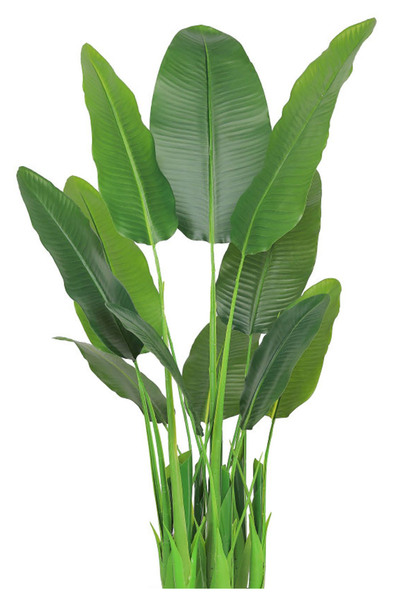 Generic Artificial banana tree (175 cm tall) in a plastic pot