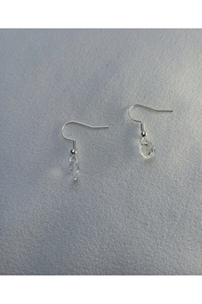 OEM Stainless steel earrings with Swarovski crystal, 6 mm, 1 cm, set with personalized box