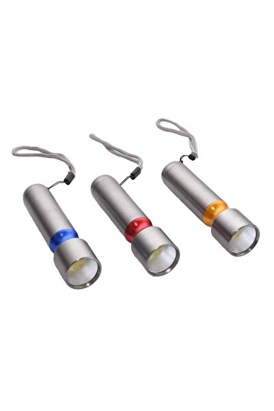 ElectroAZ Silver Flashlight with Cob Led, 3xR3