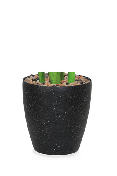 Generic Artificial banana leaf tree (180 cm tall) in a plastic pot