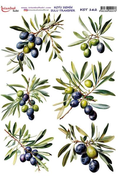 İstanbul Hobi Dark Background Water Transfer Paper 25X35Cm Kst-162