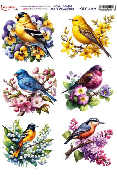 İstanbul Hobi Dark Background Water Transfer Paper 25X35Cm Kst-199