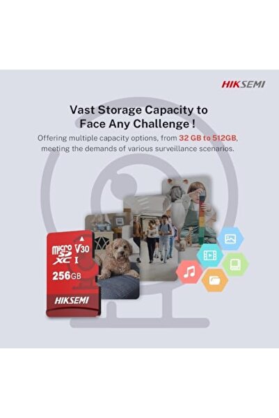 LUXEN GLEMAX Hs-Tf-E1 64 Gb Micro Sd