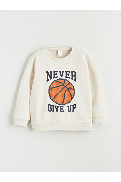 LC Waikiki Özmarka New Season Crew Neck Boys' Sweatshirt 2-Pack