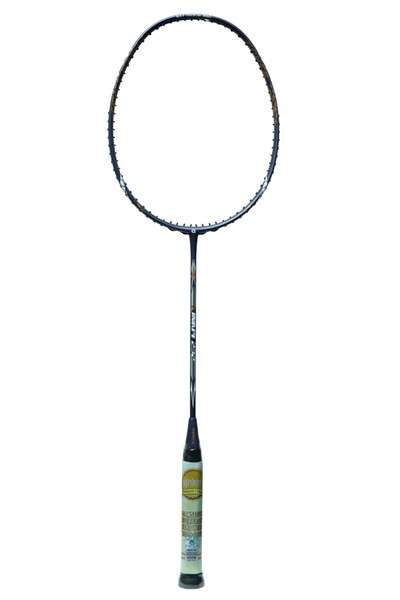 Apacs Finapi 232 head heavy balance badminton racket , Gray
