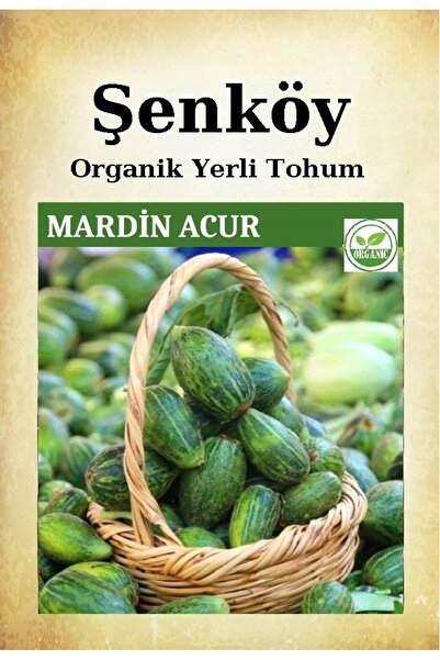 Şenköy Yerli Mardin Midyat Acur Tohumu Doğal Ata Şelengo Tohumu Pakette 3 Gr 70 Tohum + Hediye Sebze Tohumu