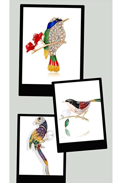 ESJ Özel Çoklu Ekonomik Paket 3 Farklı Kuş Broş Hediye Kutusu ile Gönderim