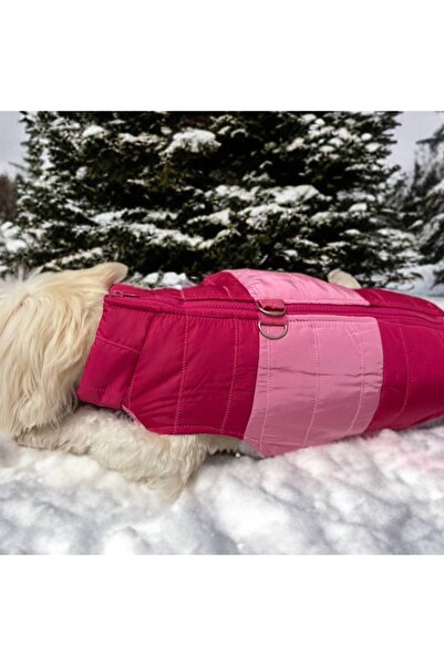 ZASEL LAND Köpek Şişme Yelek – Kışlık, Su Geçirmez, Tasma Halkalı