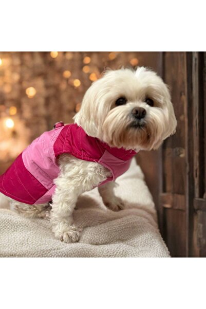 ZASEL LAND Köpek Şişme Yelek – Kışlık, Su Geçirmez, Tasma Halkalı