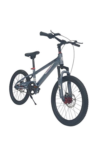 Baby Star دراجة نينوس اللطيفة المصنوعة من الألومنيوم - مقاس 20 بوصة مع نظام ت...