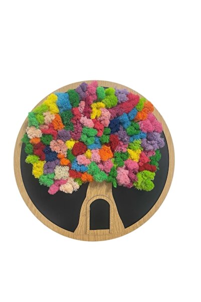 ALVAL Tablou decorat cu licheni stabilizați, multicolor, diametru 40 cm