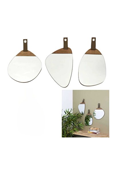 Home Deco Factory Set of 3 decorative mirrors with wood and hangers, 3 different shapes in the set