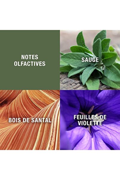 Geoffrey Beene Grey Flannel For Men 4 Oz Edt Spray