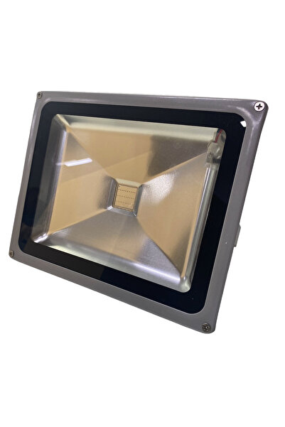 Ruan Proiector RGB LED 30W Clasic IP65 6000K cu Telecomanda Mediu 22 x 18 cm