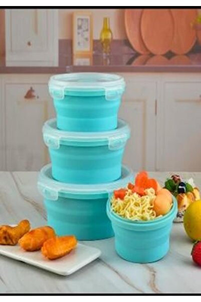 naniland.ro SET 4 CASEROLE PENTRU DEPOZITARE MANCARE