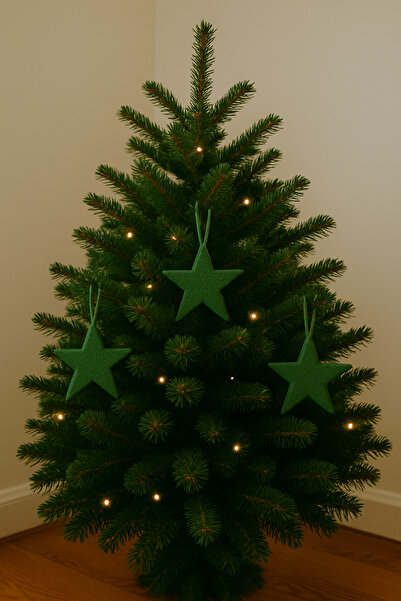 Heners 3 Pieces Star Christmas Tree Ornament Decor Decoration Set 5 cm