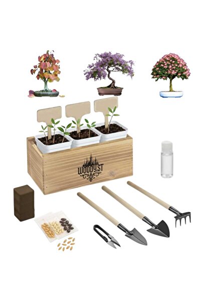 Woody.st 3’lü Bonsai Yetiştirme Seti – Ahşap Kutuda Egzotik Tohumlar, Toprak ...