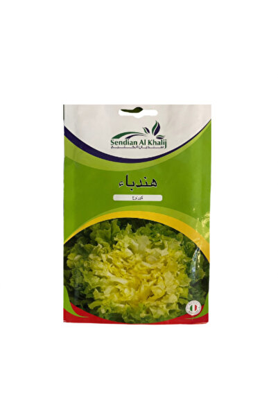 alatar Korlog Chicory Seeds