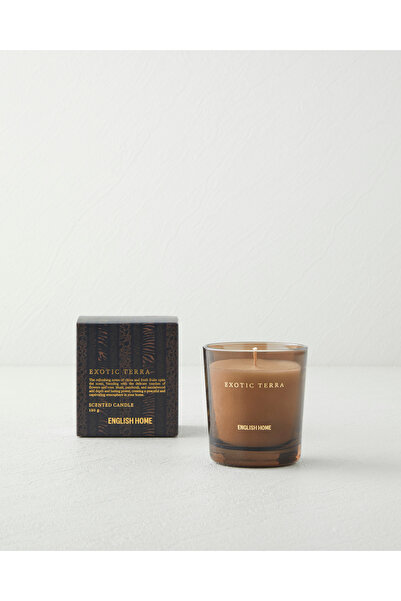 English Home Exotic Terra Kokulu Mum 120 gr Şeffaf
