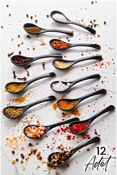 CELSEN HOME 12 Black Serving and Spice Spoons - Breakfast Honey Spoon Sugar J...